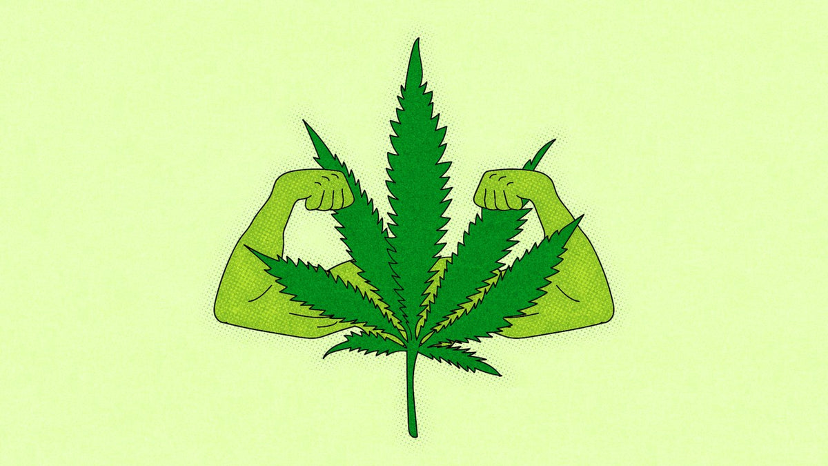 THE FUTURE OF FITNESS? A GUIDE TO CBD SUPPLEMENTS